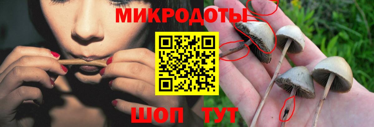 Галлюциногенные грибы прущие грибы  Вход с VPN  Ижевск 